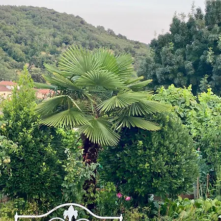 Quinta Flores Vale de Pradinhos