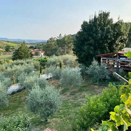 Quinta Flores Vale de Pradinhos