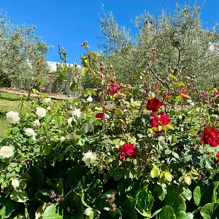 Quinta Flores * Vale de Pradinhos