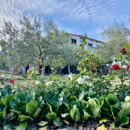 Quinta Flores Apartman *