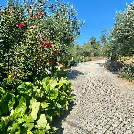 Quinta Flores Apartman *