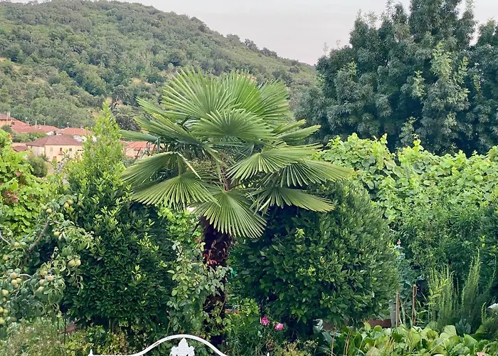 Quinta Flores Vale de Pradinhos