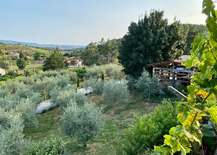 Quinta Flores Vale de Pradinhos