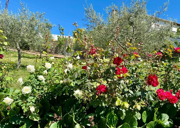 Quinta Flores * Vale de Pradinhos