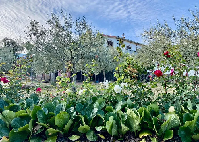 Quinta Flores アパート *