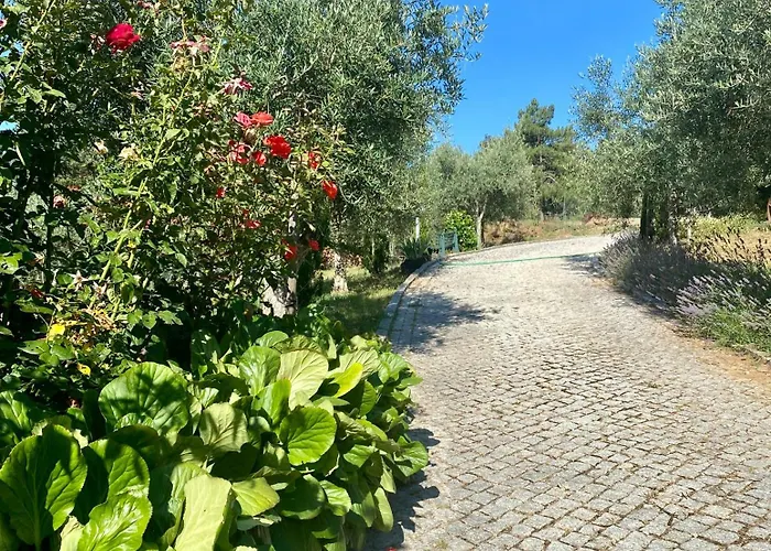 Quinta Flores Appartamento *